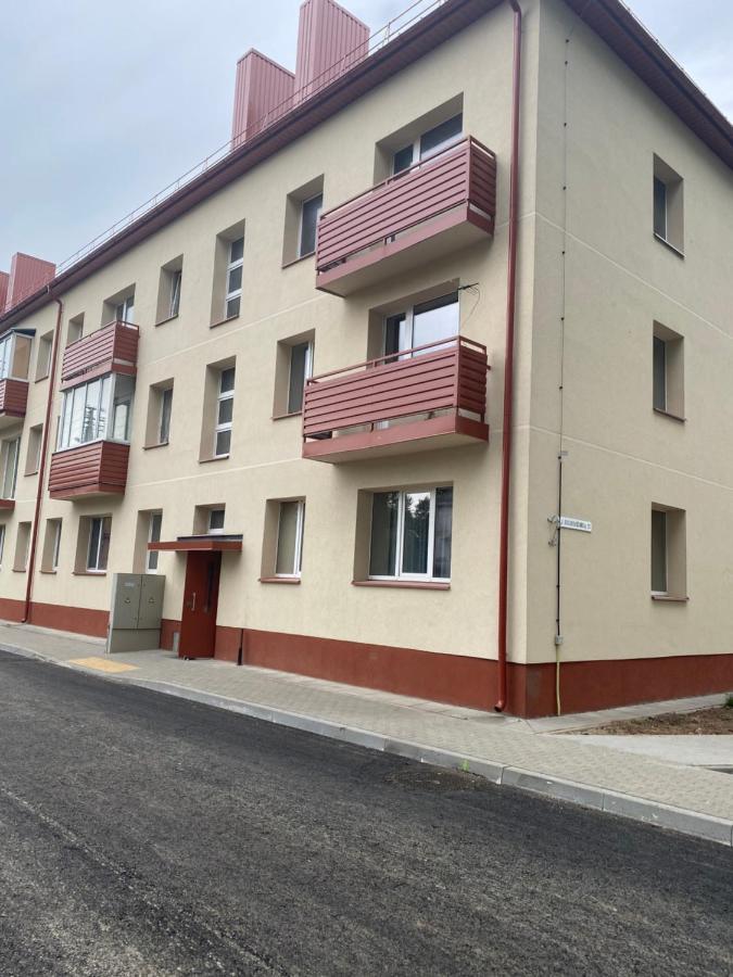 Studio Flat In Kėdainiai Εξωτερικό φωτογραφία